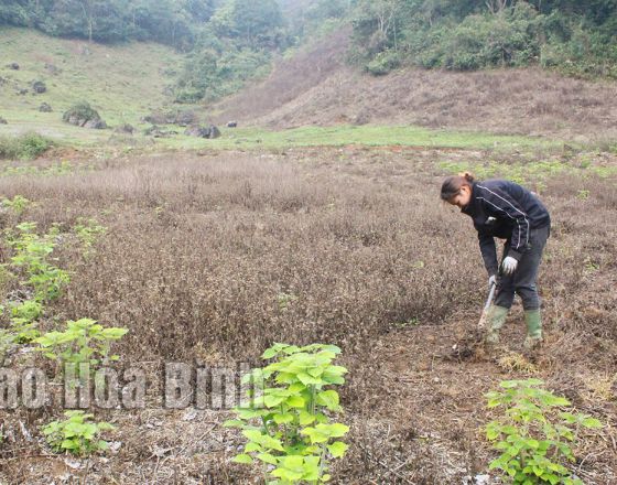 Bảo vệ môi trường trong sản xuất nông nghiệp